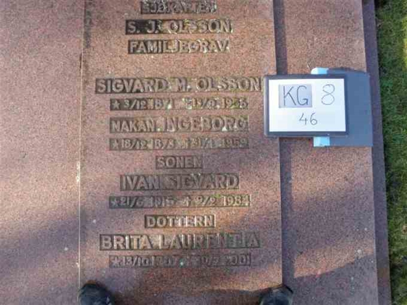 Gravnummer: 8    46-4