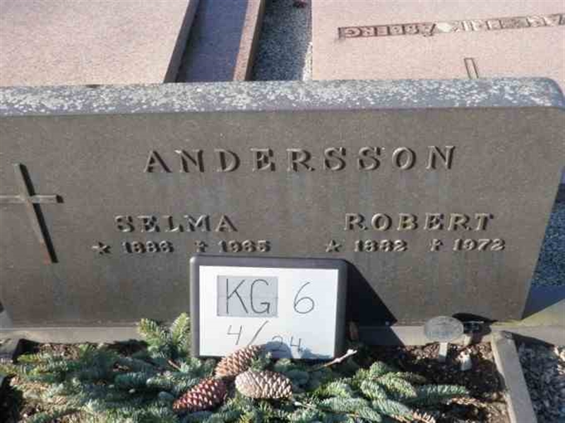 Gravnummer: 6 04    24-2