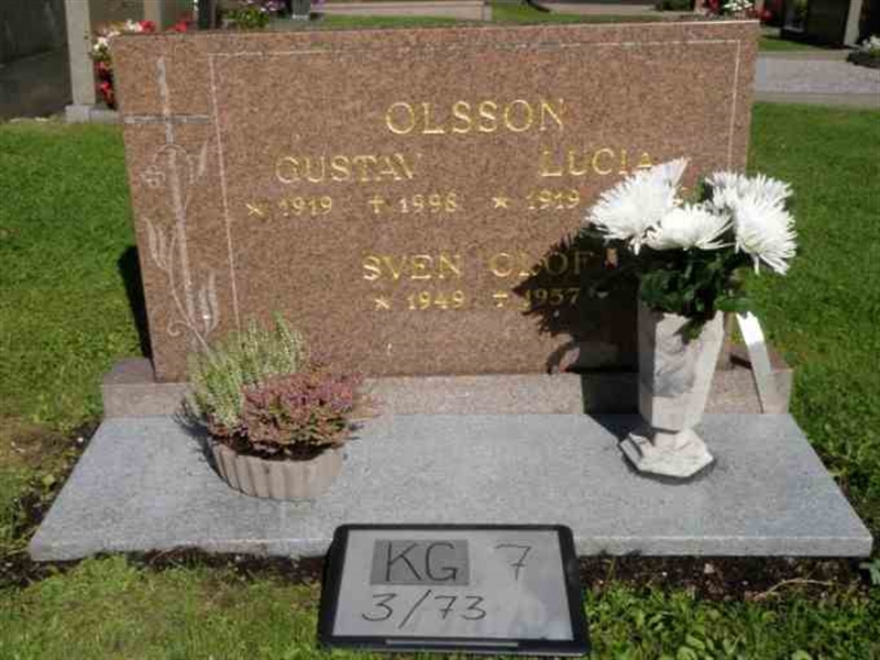 Hautatunnus: 7 03    73-3