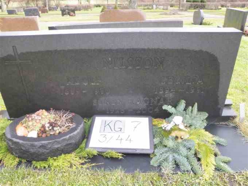 Hautatunnus: 7 03    44-2