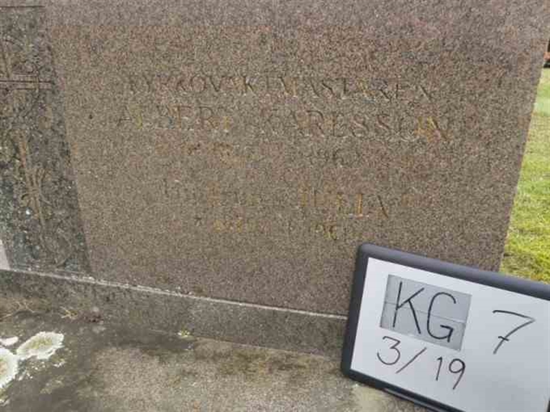 Hautatunnus: 7 03    19-2