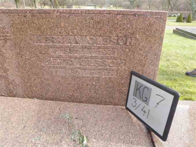 Hautatunnus: 7 03    41-2