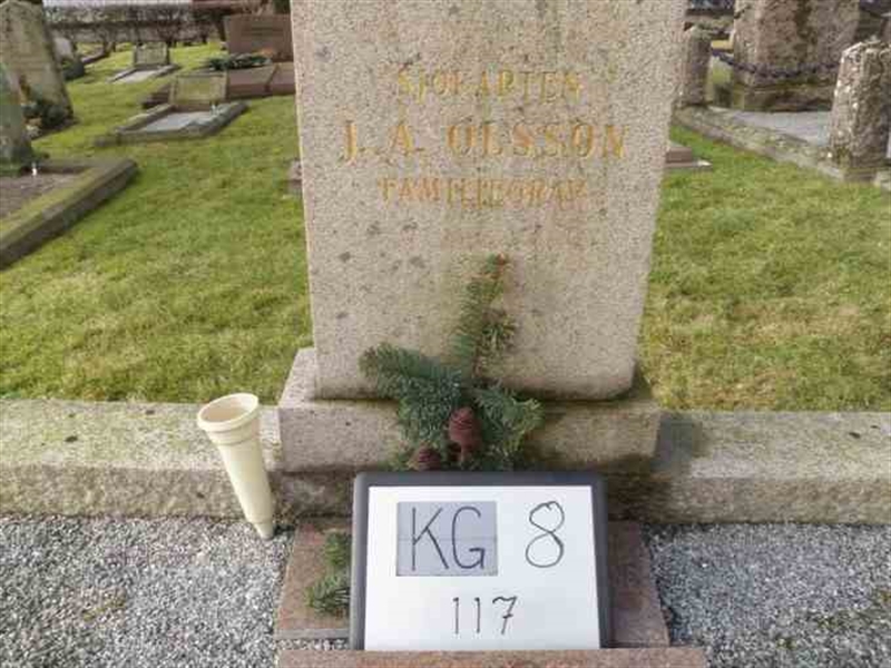 Gravnummer: 8   117-2