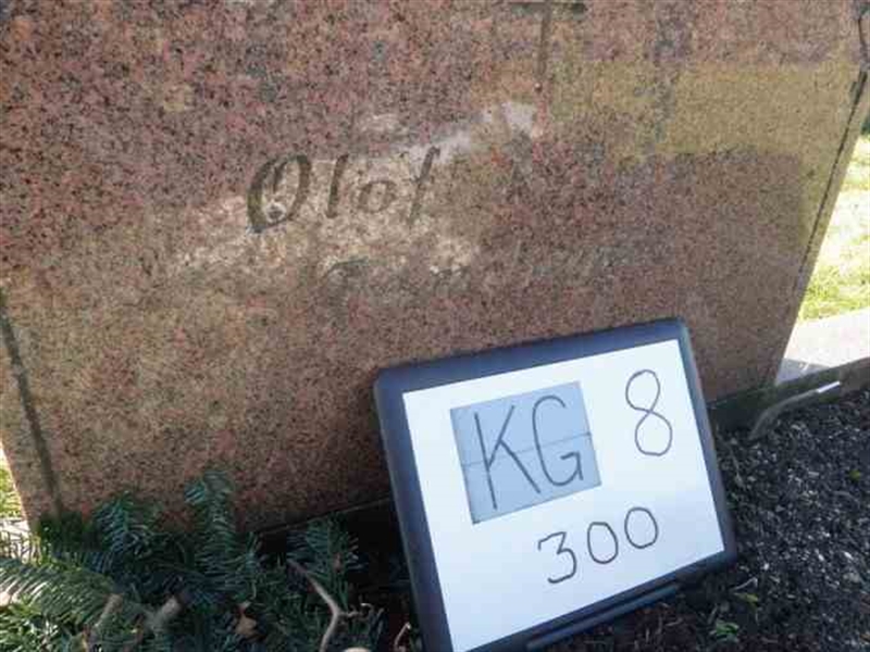 Hautatunnus: 8   300-2