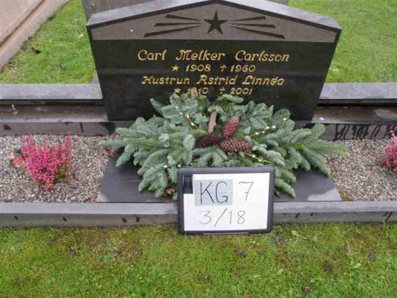 Hautatunnus: 7 03    18-2