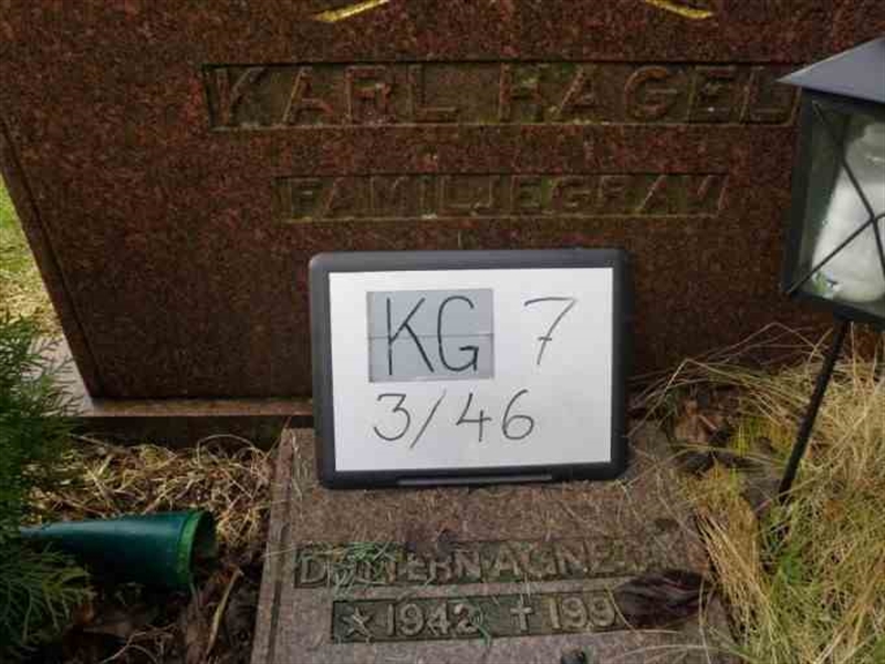 Hautatunnus: 7 03    46-2