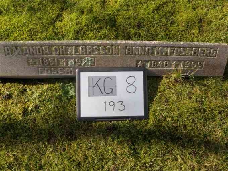 Gravnummer: 8   193-2