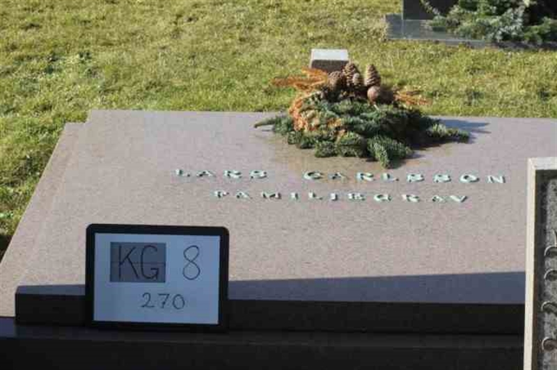 Hautatunnus: 8   270-2