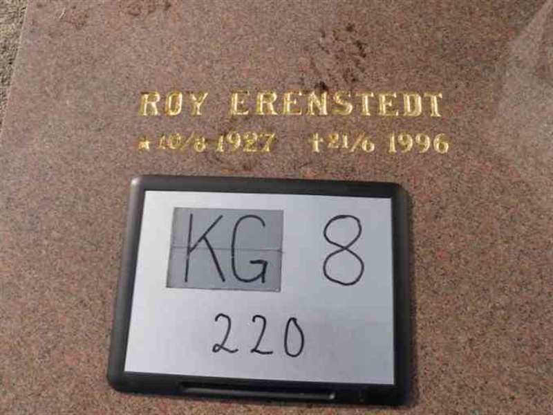 Gravnummer: 8   220-2
