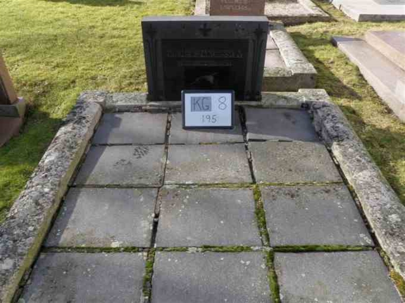 Gravnummer: 8   195-2