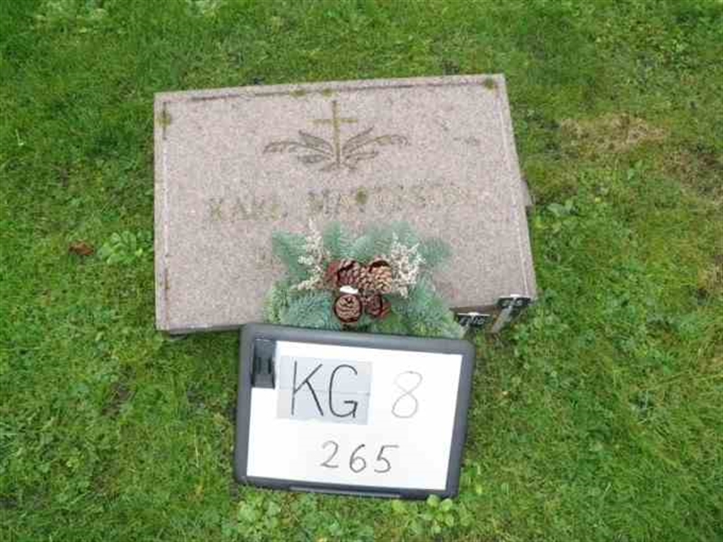 Hautatunnus: 8   265-2