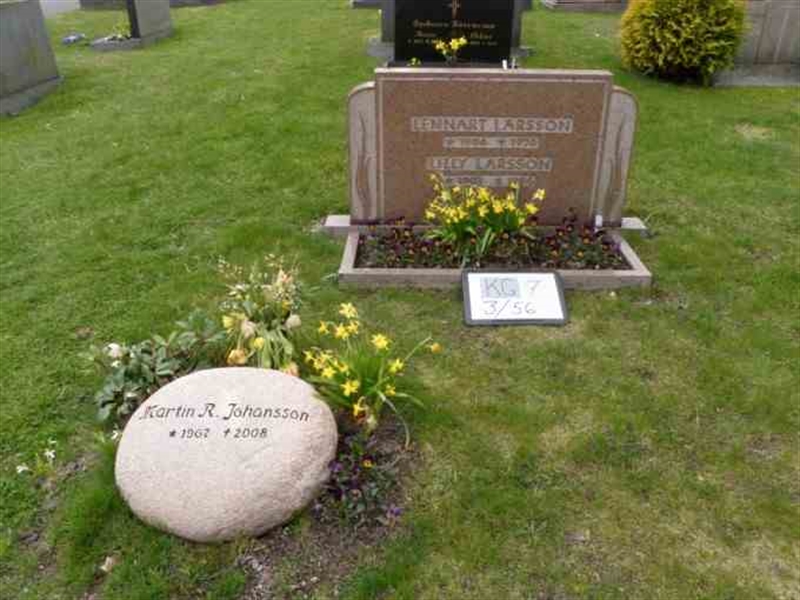 Hautatunnus: 7 03    56-2