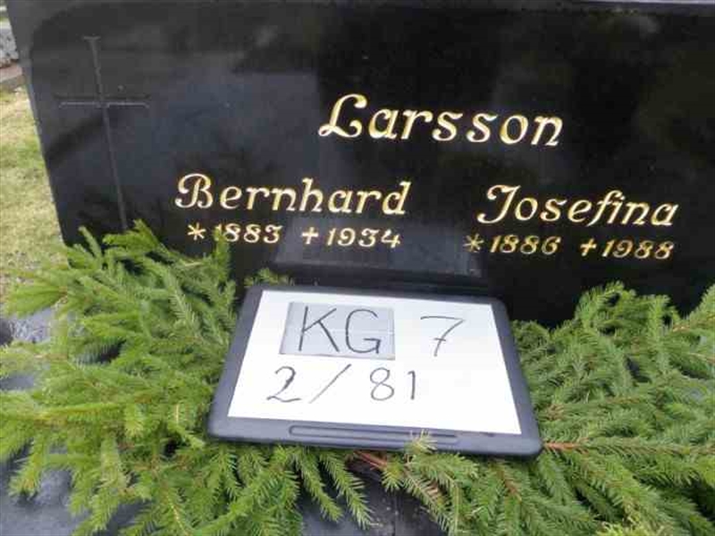 Hautatunnus: 7 02    81-2