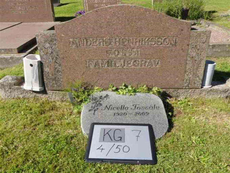 Hautatunnus: 7 04    50-2