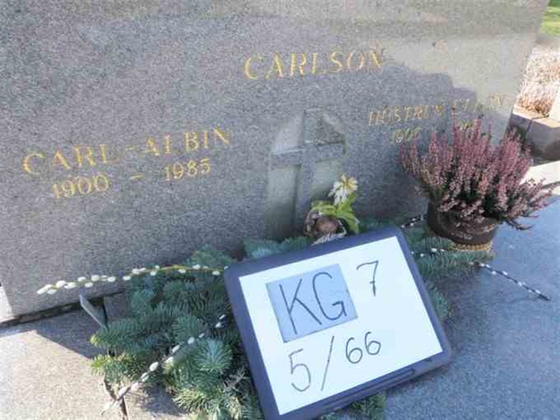 Hautatunnus: 7 05    66-2