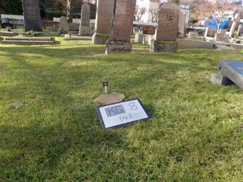 Gravnummer: 8   141-2