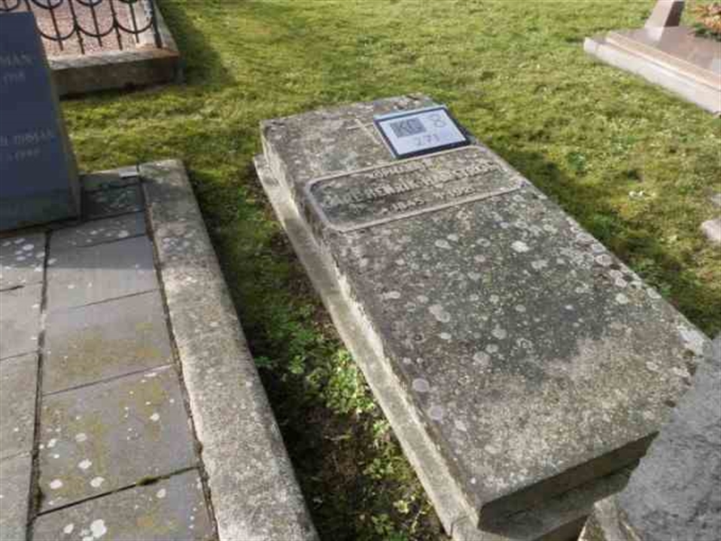 Gravnummer: 8   271-2