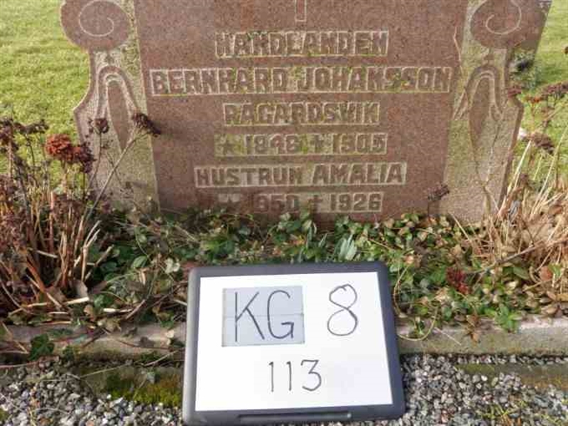 Gravnummer: 8   113-2