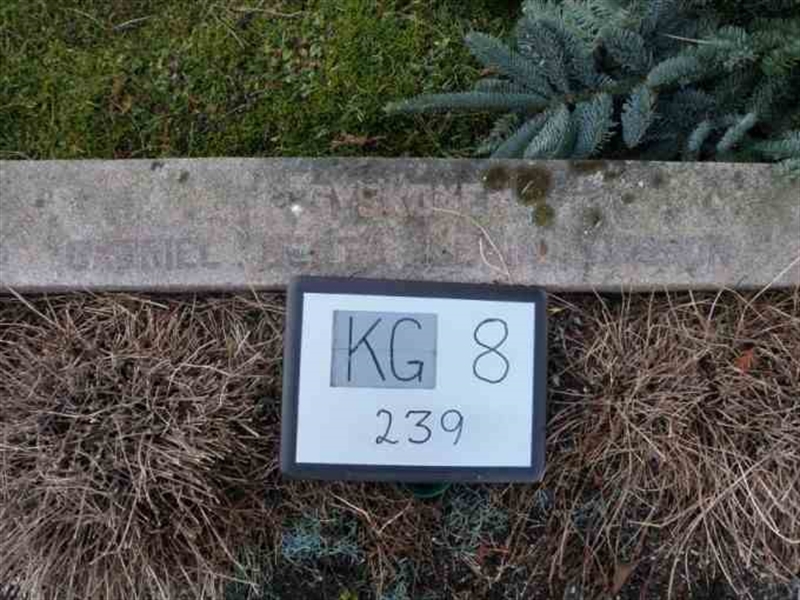 Hautatunnus: 8   239-2
