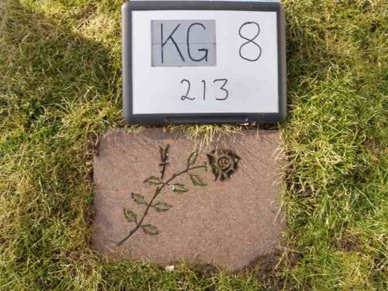 Hautatunnus: 8   213-2