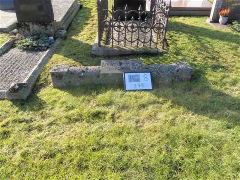 Gravnummer: 8   299-2