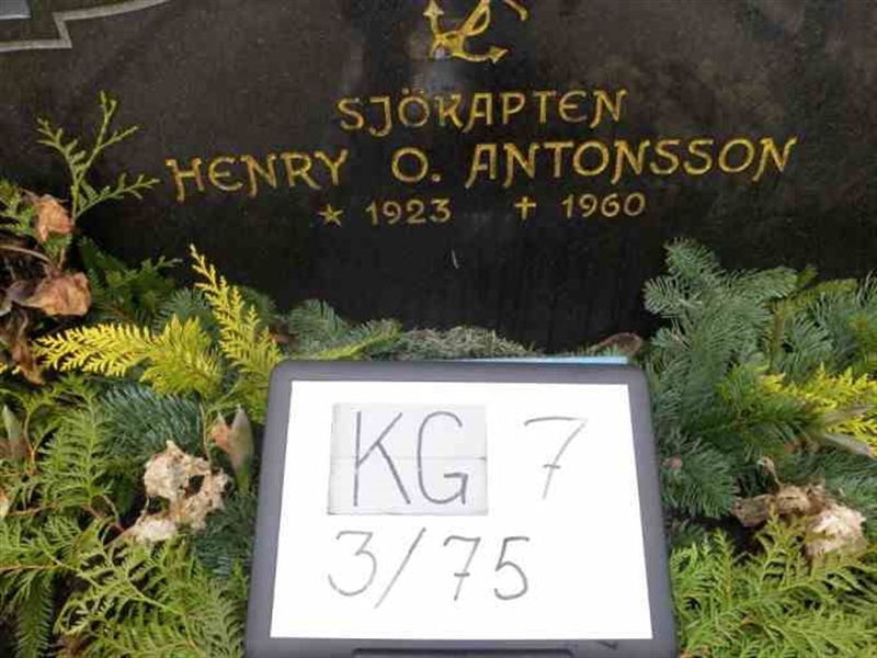 Hautatunnus: 7 03    75-2