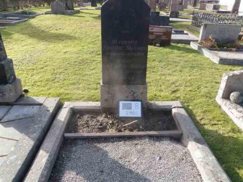 Gravnummer: 8   290-2