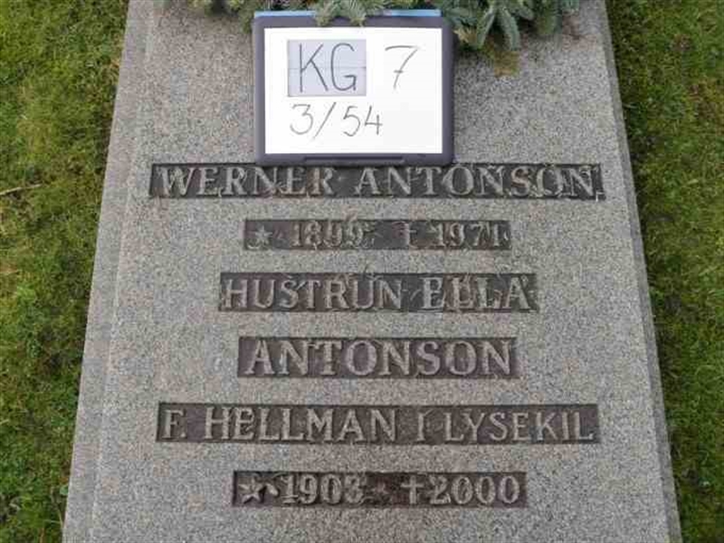 Hautatunnus: 7 03    54-2