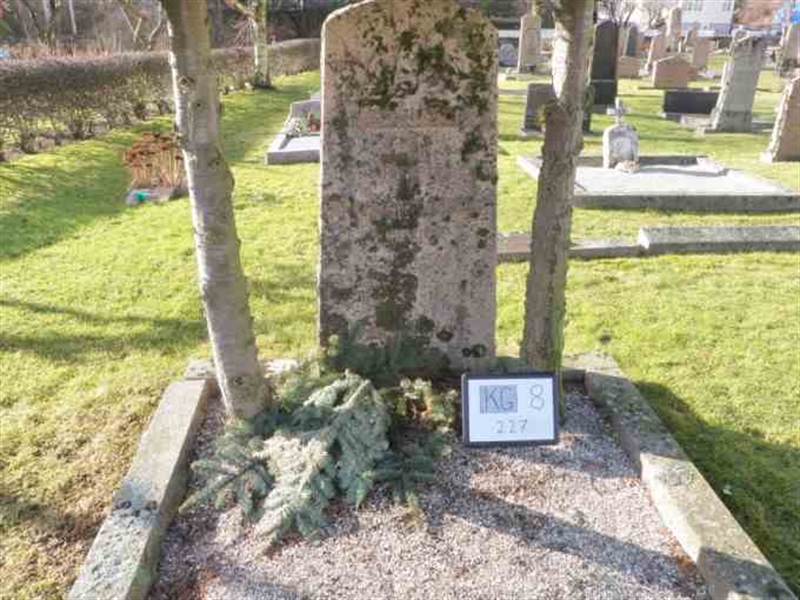 Hautatunnus: 8   227-2