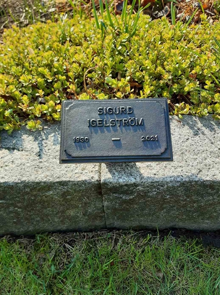 Grave number: 1 AG Båge    97