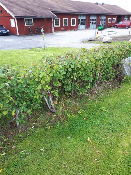 Gravnummer: NK F B   222B