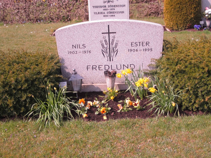 Grave number: 2 8    36