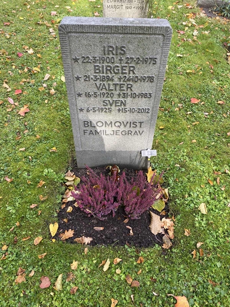 Gravnummer: 1 H   223