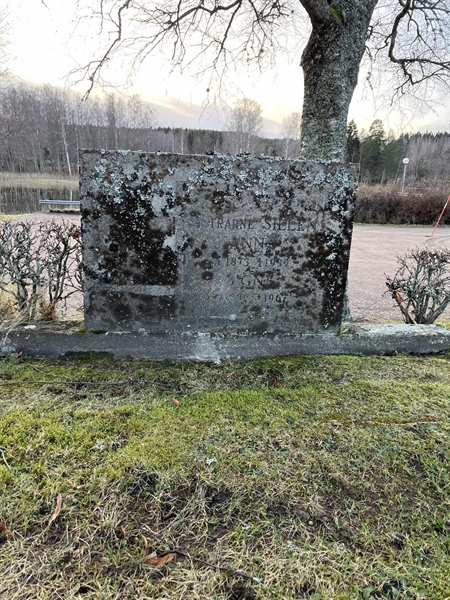 Hautatunnus: Vårv Kv4 45+46