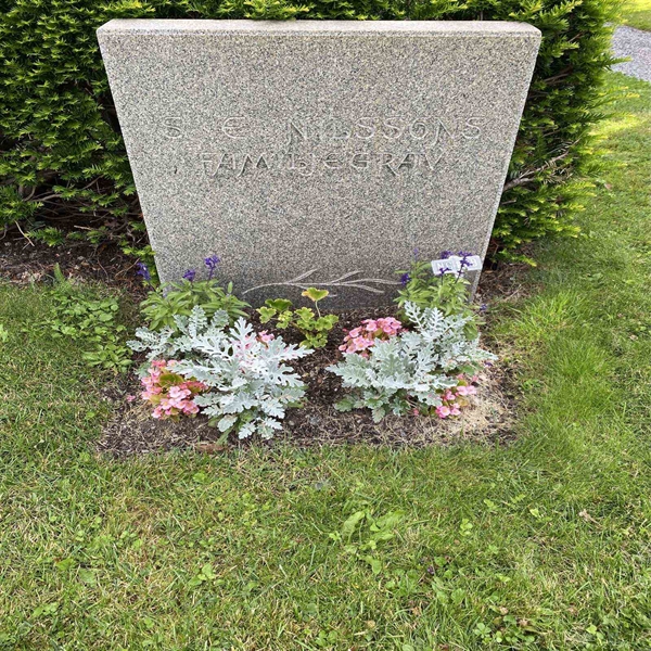 Hautatunnus: 1 NC   118