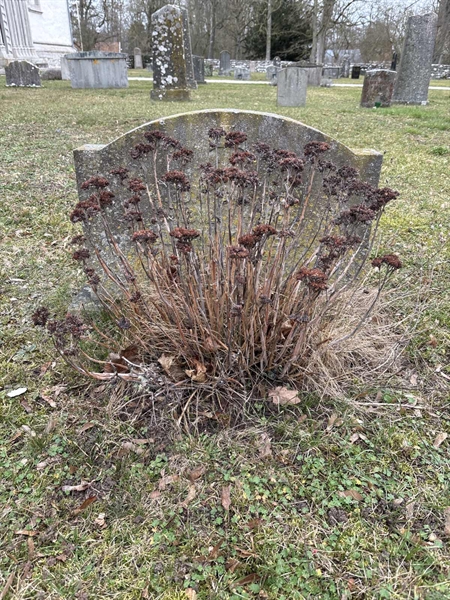 Hautatunnus: G C 27