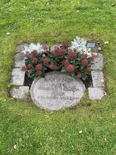 Hautatunnus: 2 C    52-53