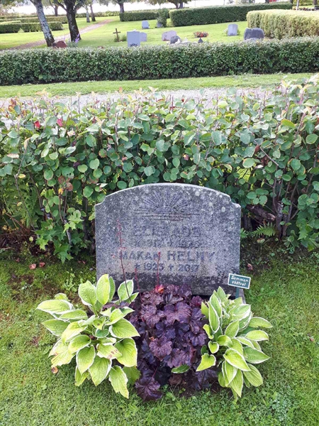 Hautatunnus: NK F B    78