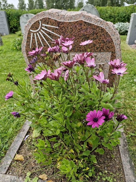 Grave number: AK D  6296