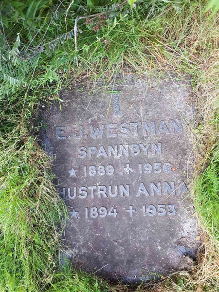 Hautatunnus: NK F G   181