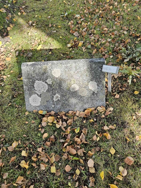 Grave number: Fr 7   523-524