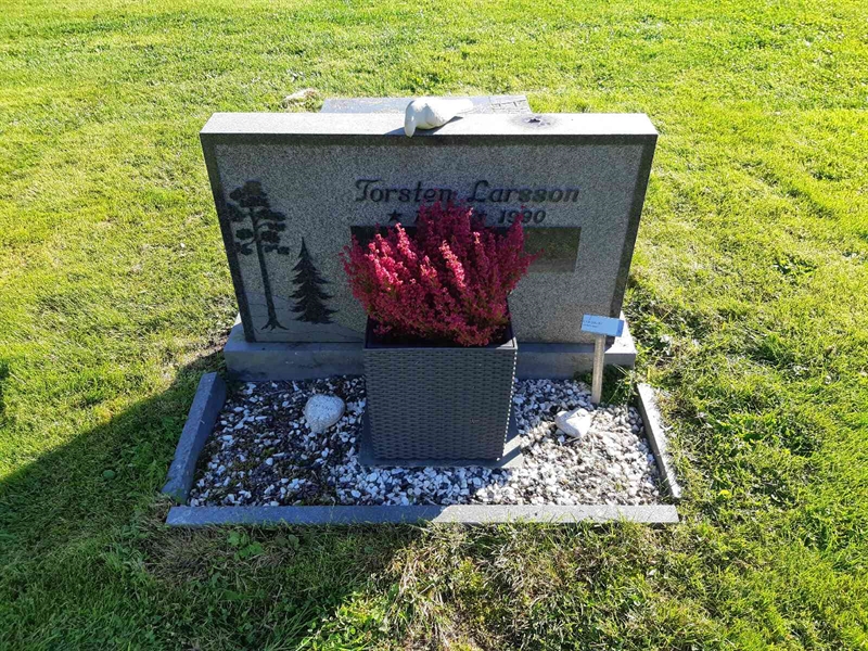 Hautatunnus: Fr 8   288-289