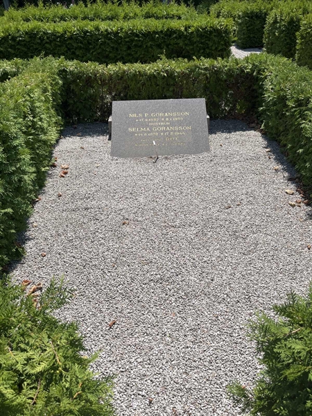Grave number: NK VII    69c