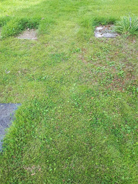 Hautatunnus: NK A A   224