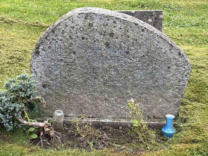Hautatunnus: IN 31    96-97