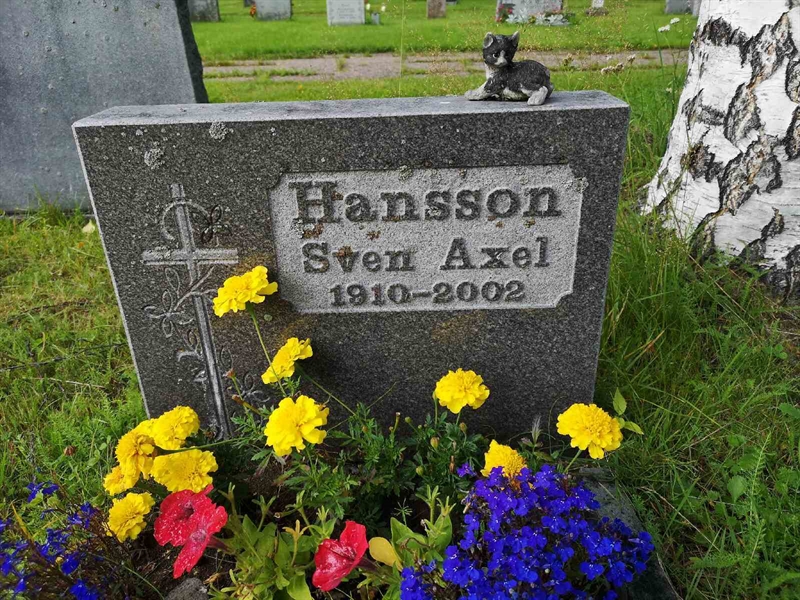 Hautatunnus: NK 17     9B