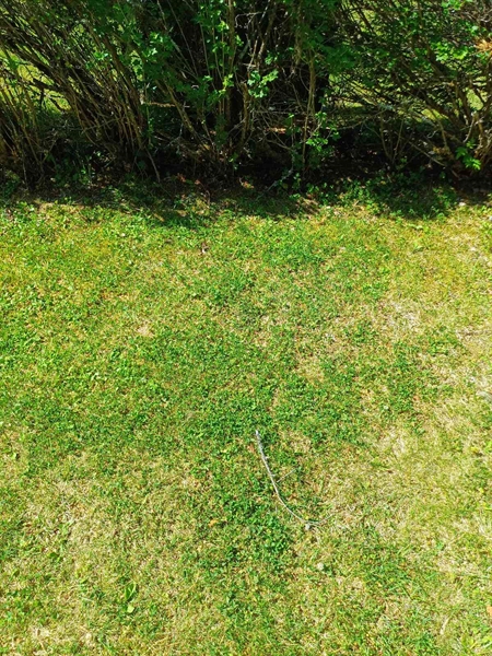 Hautatunnus: RS A 0004