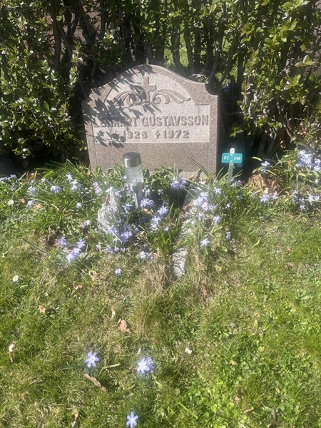 Grave number: 1 3 F1 248