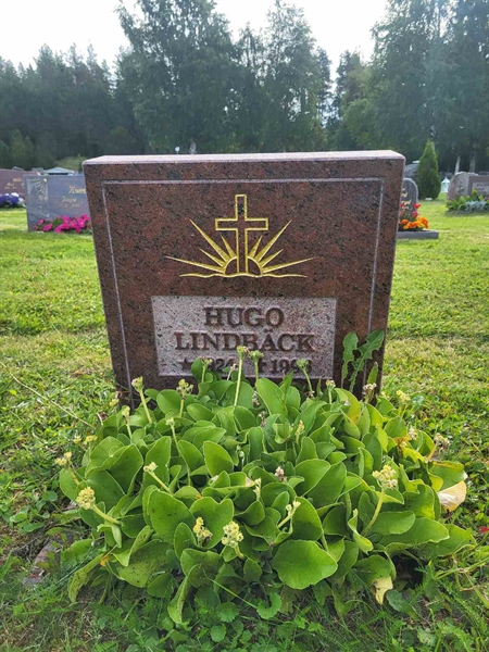 Grave number: 001 4  3164