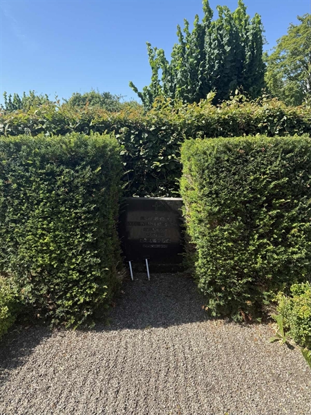 Hautatunnus: AN D    85, 86